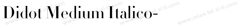 Didot Medium Italic0字体转换